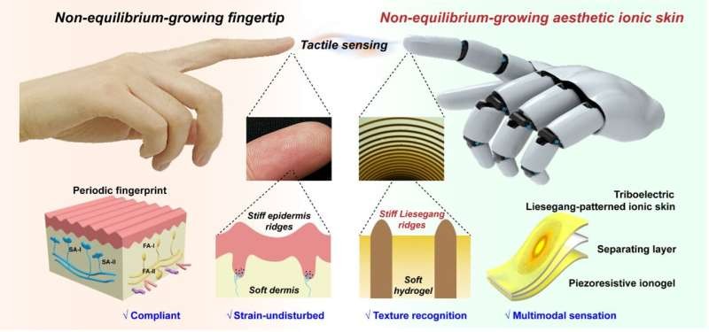 Các nhà nghiên cứu đã giới thiệu một loại da ion mới, mô phỏng chức năng đầu ngón tay của robot.