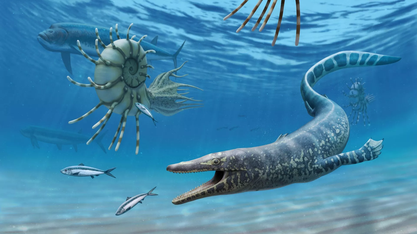 Khoảng 94 triệu năm trước, thương long vẫn còn rất nhỏ và trong giai đoạn tiến hóa.