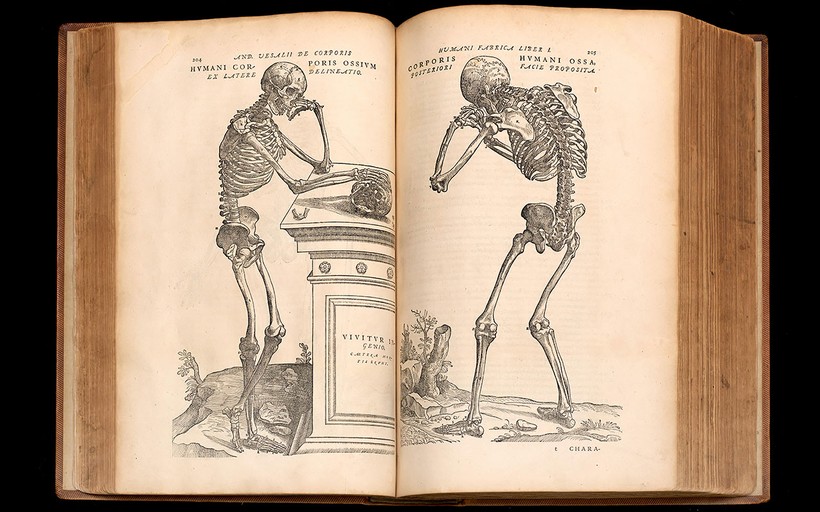 Một trang trong bộ sách Về kết cấu cơ thể người của Vesalius. Ảnh: Wikipedia.org