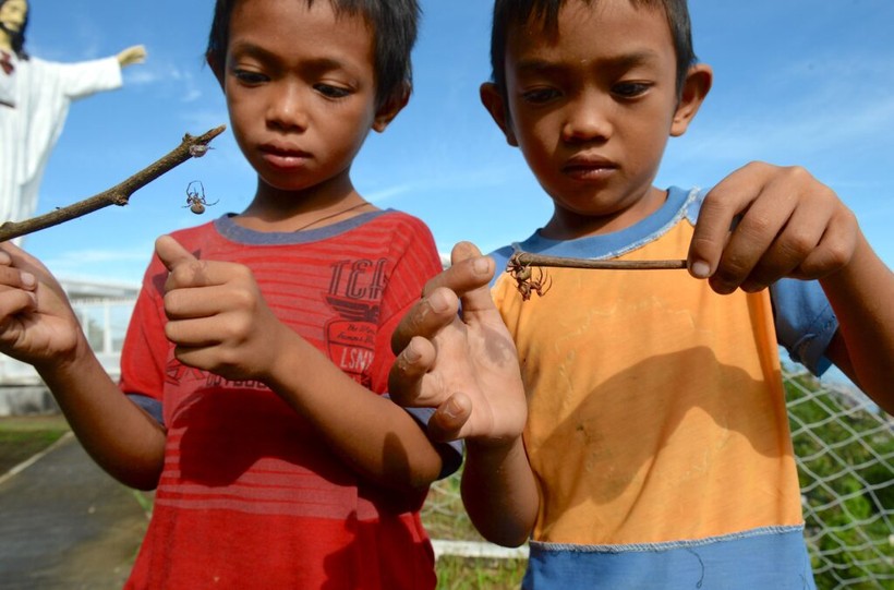 Trẻ em Philippines không hề sợ nhện. Ảnh: Sapiens.com