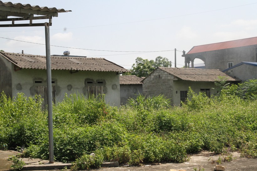 Hiện trạng hoang hóa tại Khu tái định cư xã Văn Yên.