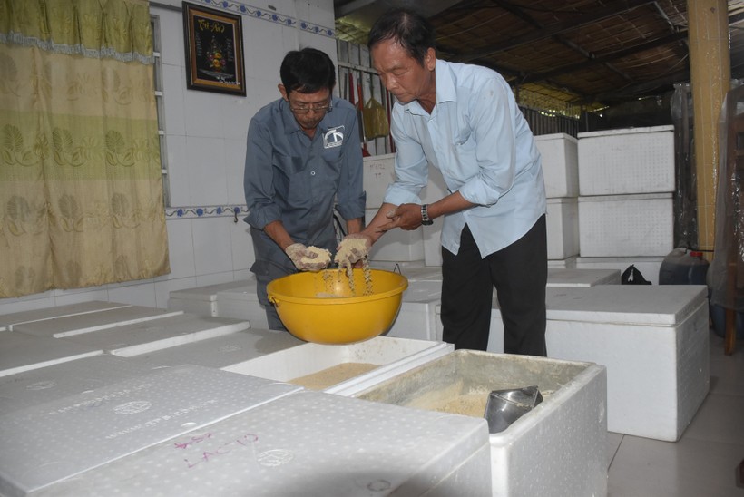 ThS Nguyễn Ngọc Thành (bên phải) kiểm tra thùng nuôi cấy chế phẩm vi sinh vật.