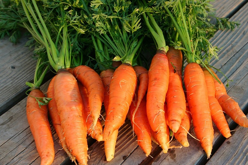Cà rốt có rất nhiều carotenoid có tác dụng chống oxy hóa.
