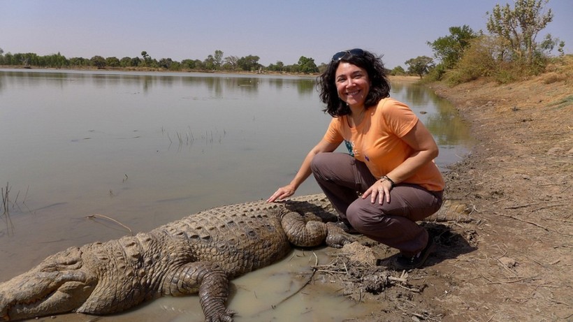 Cá sấu cũng thân thiện với du khách.