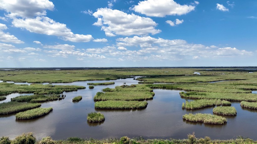 Được phê chuẩn vào tháng 10/1992, Khu bảo tồn thiên nhiên quốc gia châu thổ sông Hoàng Hà được dành riêng để bảo tồn các vùng đất ngập nước ở cửa sông, cùng các loài chim quý. hiếm và có nguy cơ tuyệt chủng.