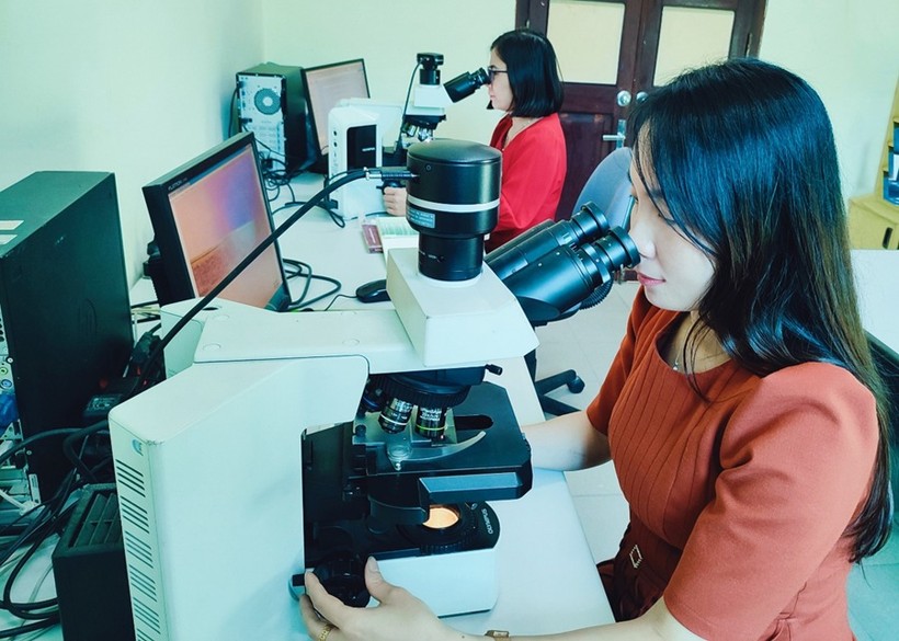 TS Lê Thị Mai Linh cùng cộng sự đang phân tích mẫu tuyến trùng.