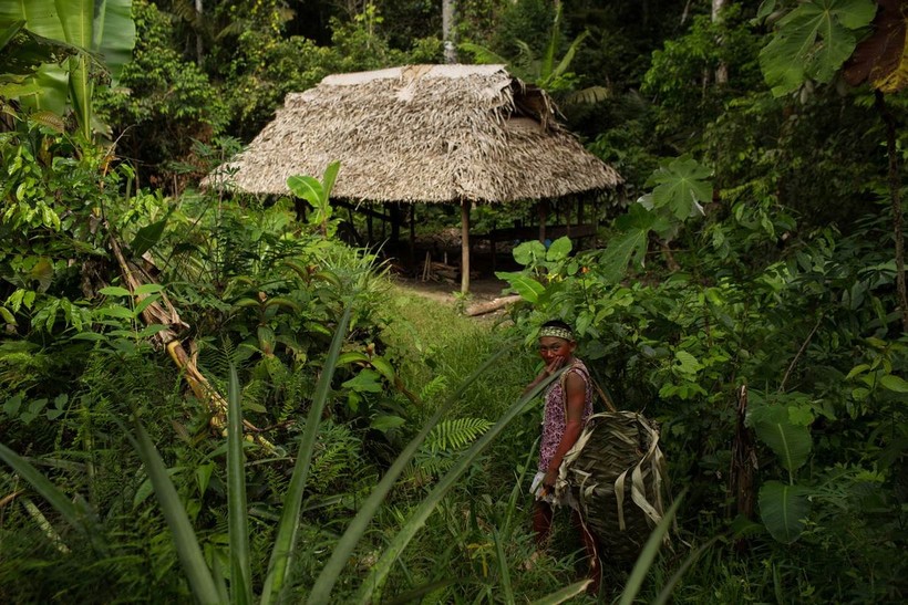 Một người Kanamari bản địa đi qua nơi ở gần làng Massape.