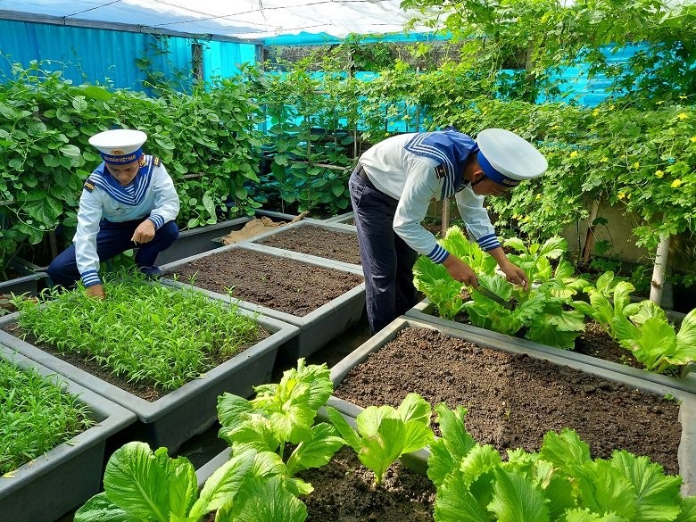 Bộ đội Hải quân trồng rau xanh trên đảo. Ảnh: Quang Đạo.