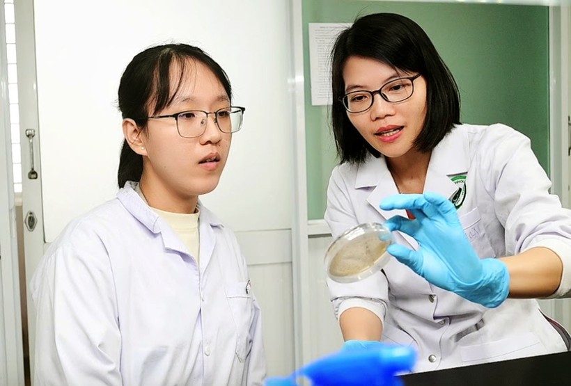 PGS.TS Nguyễn Thị Thu Hoài (phải) nghiên cứu trong phòng thí nghiệm.