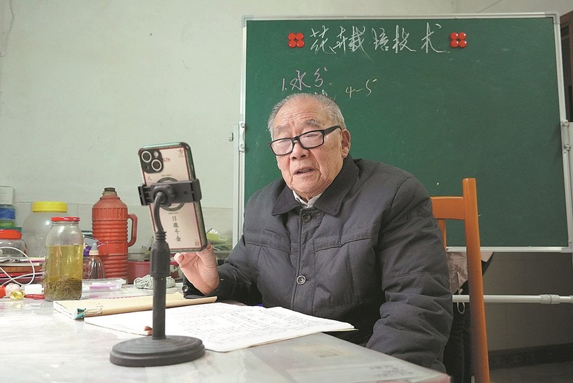 Cựu giáo viên Trung Quốc trở lại làm việc.