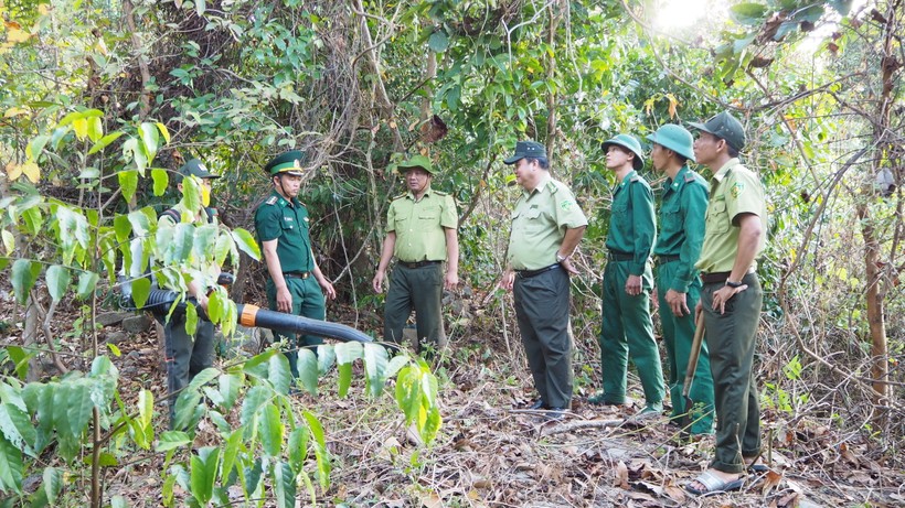 Hạt Kiểm lâm rừng cụm đảo Hòn Khoai phối hợp Đồn Biên phòng tuần tra bảo vệ rừng có nguy cơ cháy cao.
