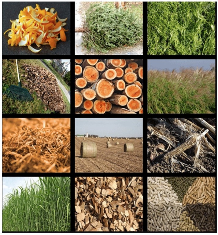 Các phụ phẩm nông nghiệp có thể sản xuất than sinh học.