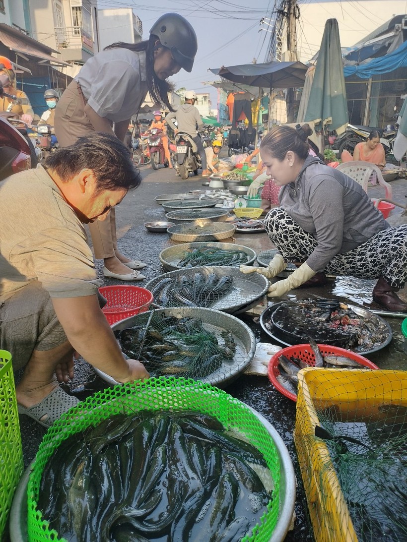Cá đồng bày bán tại chợ Phường 8, TP Cà Mau.