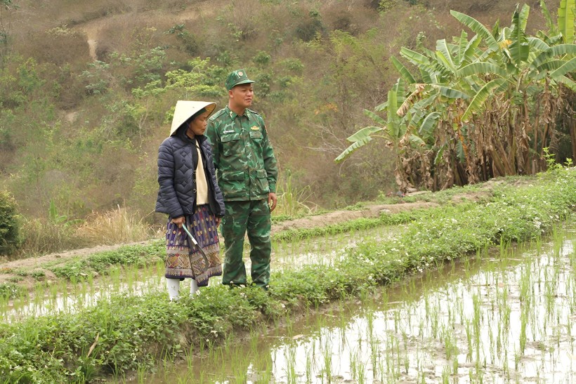 Thiếu tá Pịt Văn Mương, Đồn Biên phòng Mường Ải hướng dẫn bà Hoa Mẹ Ngành sản xuất lúa vụ Đông Xuân.