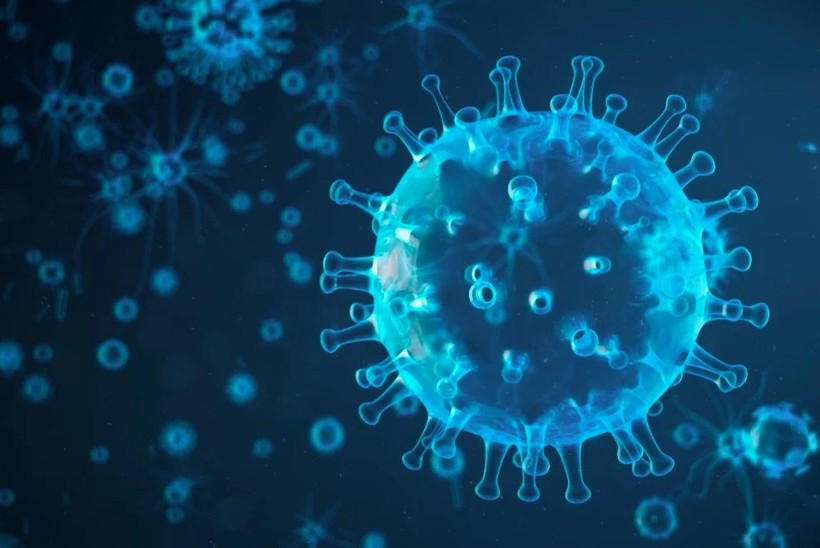 Virus A (H5N1) là chủng cúm độc lực cao. Ảnh minh họa