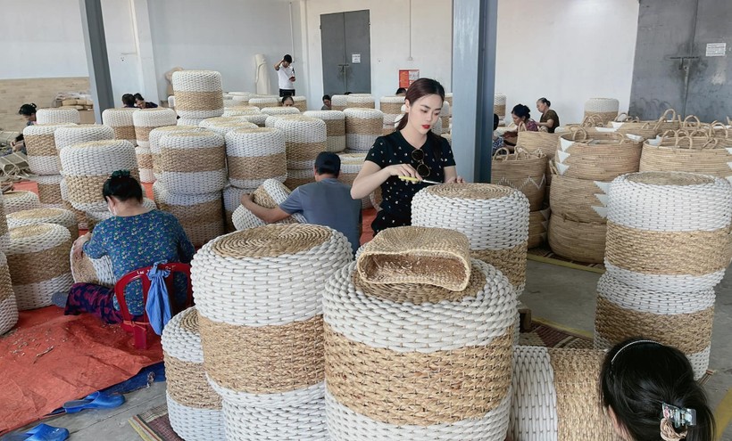 Hiện ở Kim Sơn có nhiều doanh nghiệp tham gia sản xuất sản phẩm từ cói.