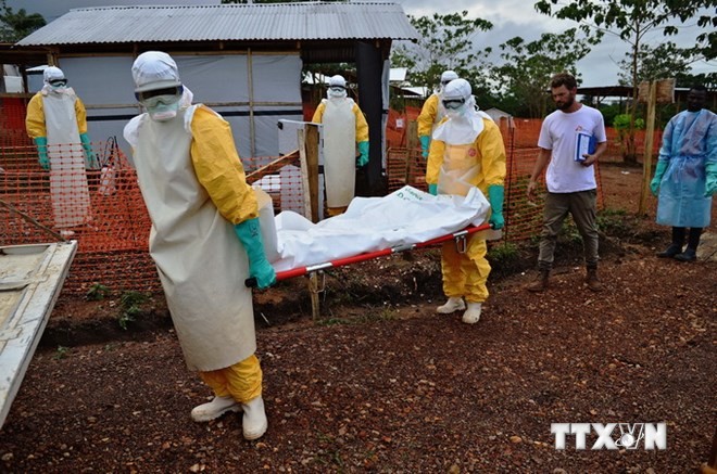 Australia đóng góp 1 triệu AUD cho WHO kiểm soát dịch Ebola