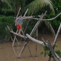 Cầu khỉ - nét đặc trưng của người dân sông nước Đồng bằng sông Cửu Long
