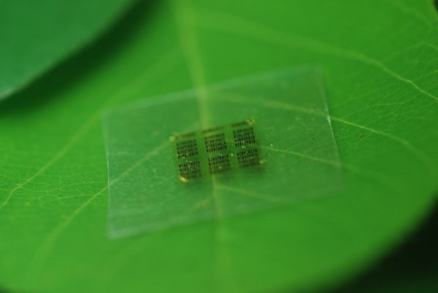 Chế tạo thành công chip máy tính từ gỗ