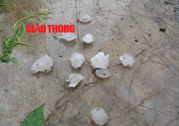 Thiệt hại bước đầu sau trận mưa đá kỷ lục ở Tuyên Quang