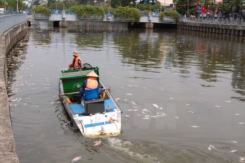 Công bố nguyên nhân 14 tấn cá chết trên kênh Nhiêu Lộc-Thị Nghè