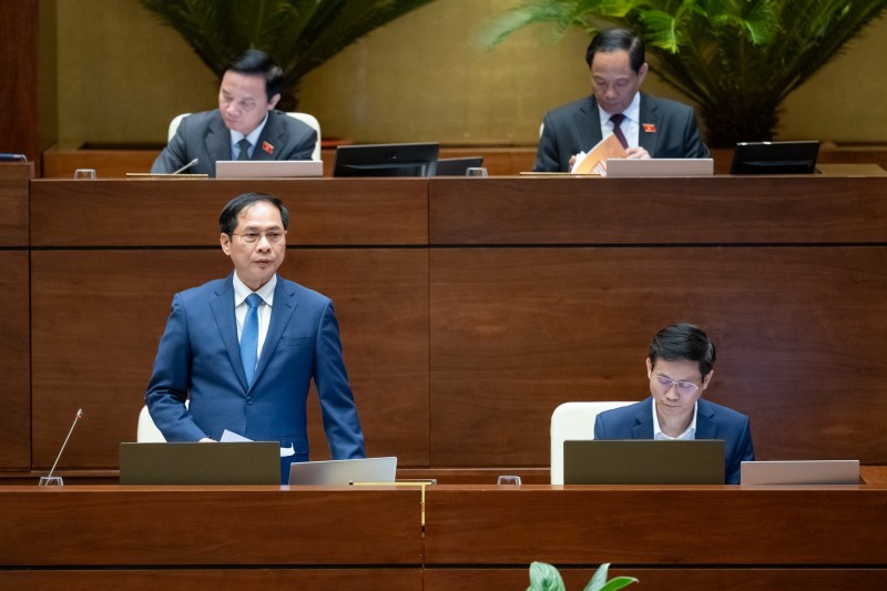 Bộ trưởng Bộ Ngoại giao Bùi Thanh Sơn trả lời chất vấn.