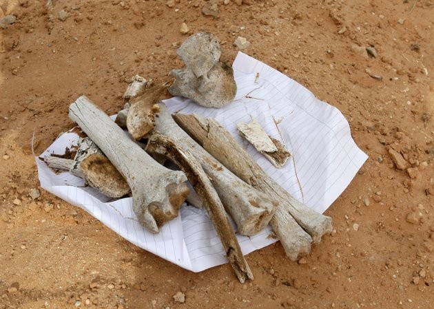Libya: Kinh hoàng phát hiện ngôi mộ tập thể