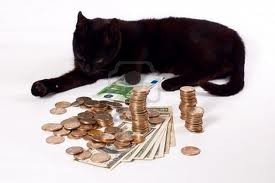 Chú mèo được thừa kế 10 triệu euro