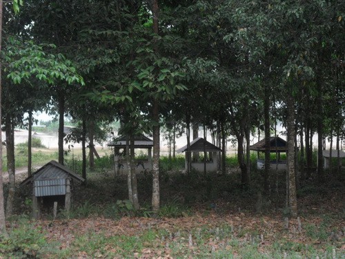 Vườn mộ người Khmer