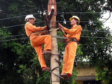 EVN đảm bảo cung ứng điện an toàn, ổn định trong dịp Tết Quý Tỵ 2013