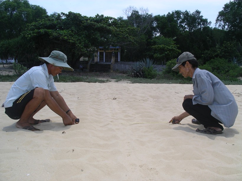 Rùa biển lại đẻ trứng tại bãi biển Hải Giang