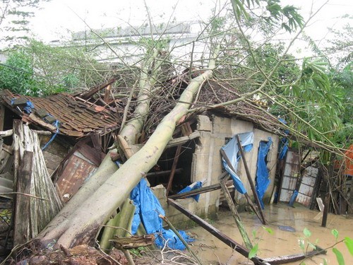 Thừa Thiên - Huế sau bão: Nhà tốc mái, cây gãy đổ, đường ngập lụt