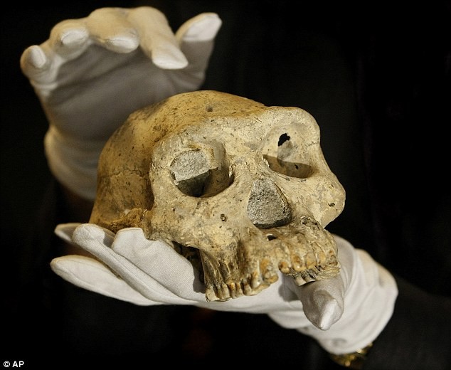 Lịch sử loài người có thể phải viết lại vì bộ xương sọ