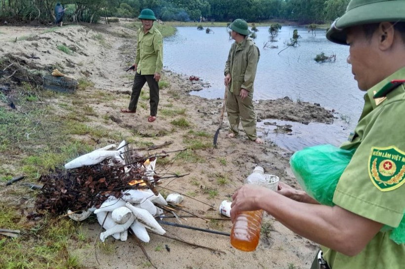 Lực lượng Công an và Kiểm lâm huyện Cẩm Xuyên tiến hành tiêu hủy công cụ đánh bắt chim.
