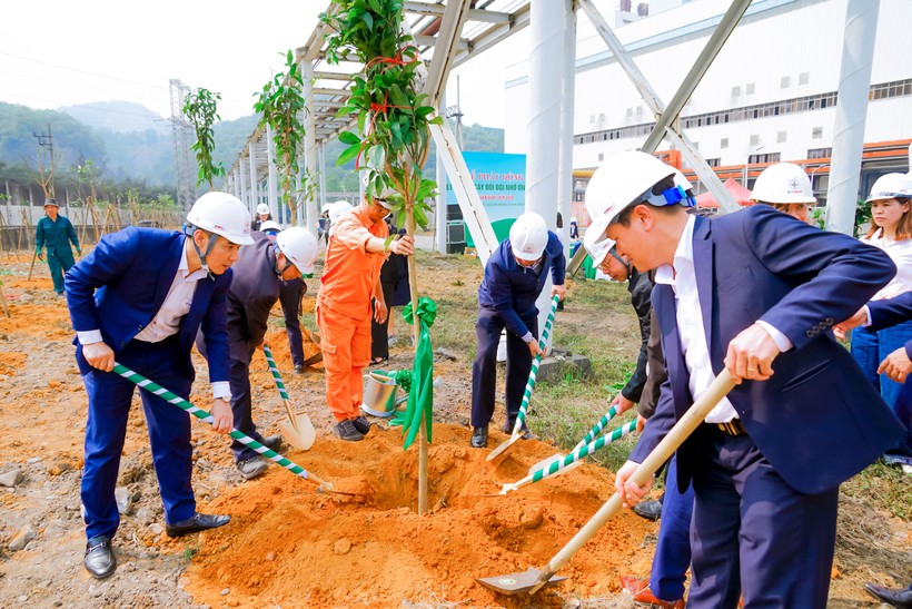 Đại biểu tham gia trồng cây tại Công ty CP Nhiệt điện Quảng Ninh.