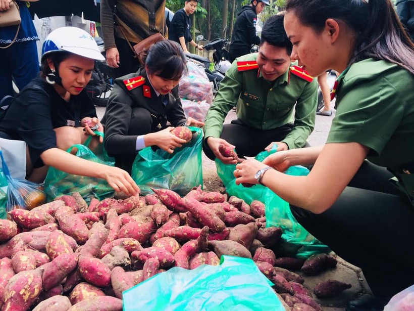 Đoàn viên thanh niên công an Thủ đô giúp nông dân tiêu thụ khoai lang