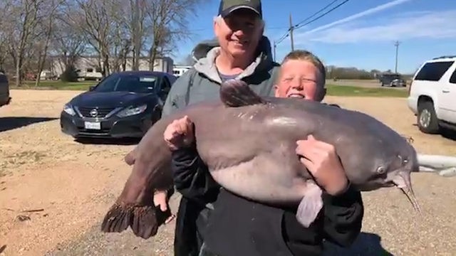 Cậu bé 13 tuổi câu được con cá trê khổng lồ trong hồ