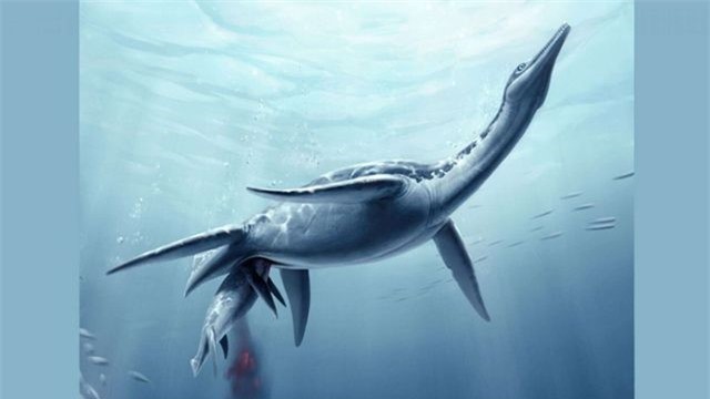 Phát hiện hóa thạch khủng long giống quái vật hồ Loch Ness ngoài đời thực