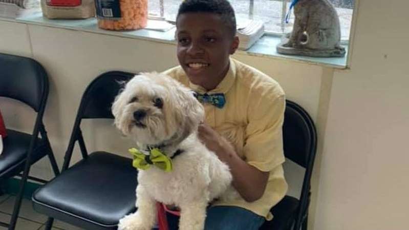Giúp vật nuôi vô gia cư, cậu bé 12 tuổi được cựu Tổng thống Obama khen ngợi 