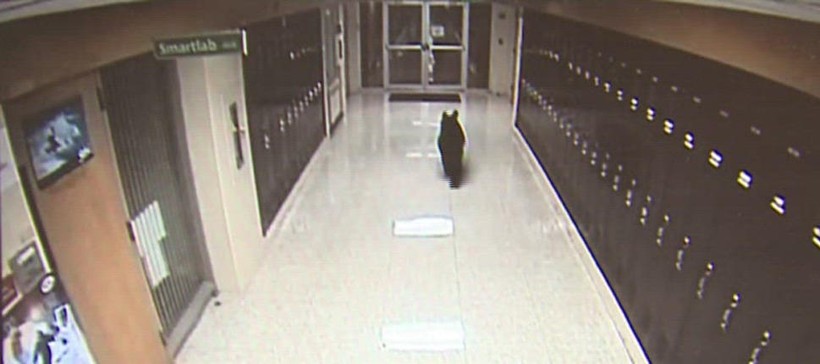 Hình ảnh "kẻ đột nhập" tại khu vực tủ để đồ của trường.