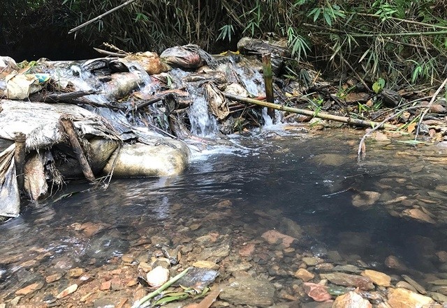 Chất thải đã gây ô nhiễm nghiêm trọng nguồn nước vào Nhà máy nước sạch sông Đà.