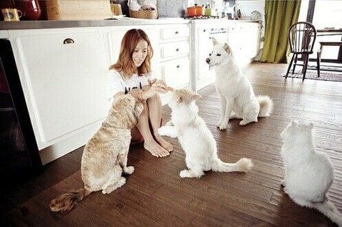 Nữ ca sĩ Lee Hyori sở hữu một dàn thú cưng là mèo và chó.