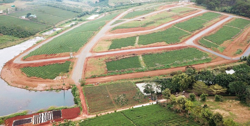 TP Bảo Lộc xin ý kiến vụ 54 lô đất chuyển nhượng trái phép