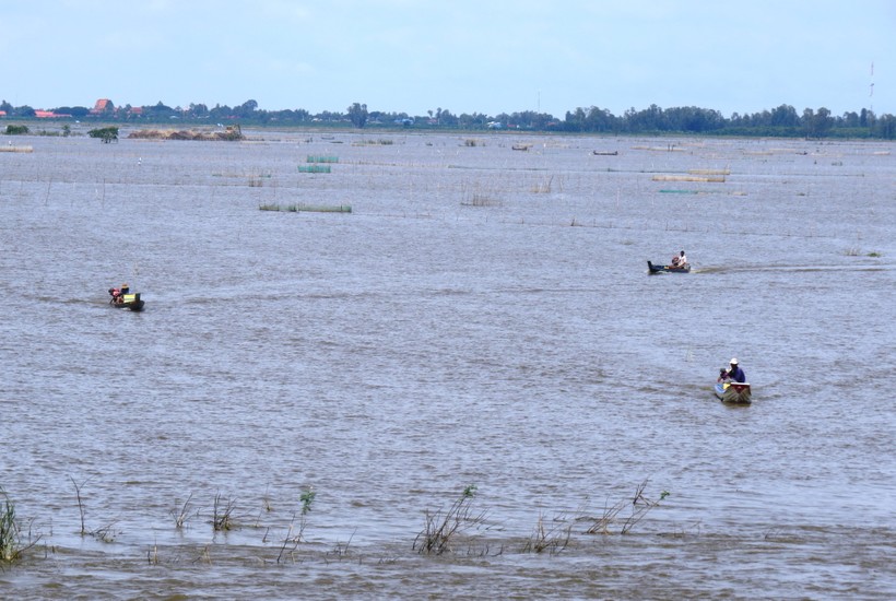 Nơi sông Tiền đổ về Việt Nam, xa xa là những cụm cây cối, phum sóc của Campuchia