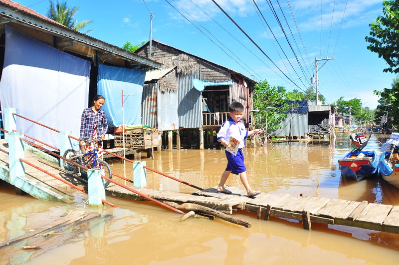 Nước lũ chia cắt, các em HS ở huyện An Phú, An Giang phải đi cầu tạm đến trường