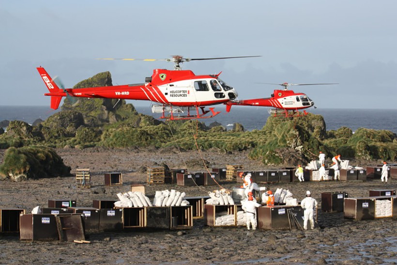 Các nhân viên đang chuyển mồi nhử chuột lên máy bay trực thăng ở đảo Macquarie (nằm giữa New Zealand và Nam Cực)