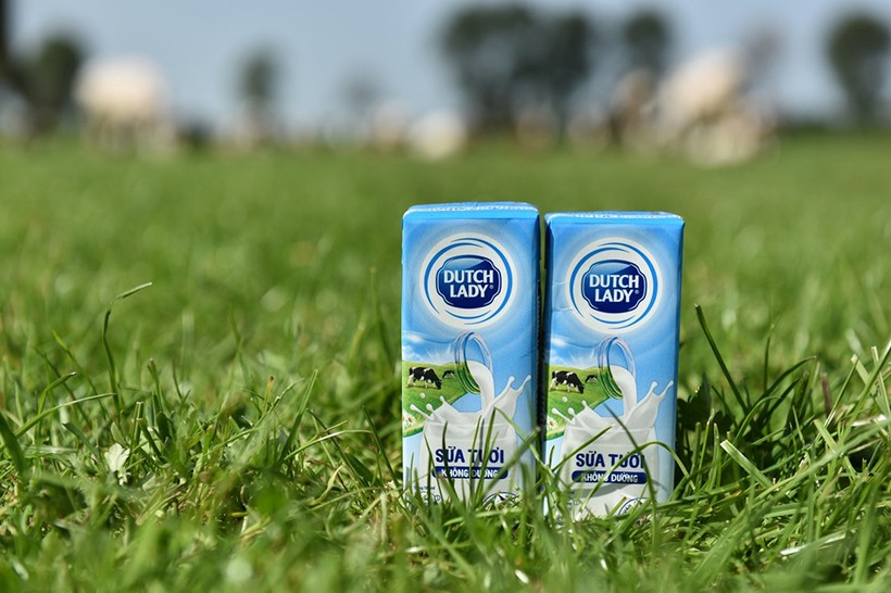 Sữa tươi Cô Gái Hà Lan - sản phẩm chất lượng chuẩn châu Âu