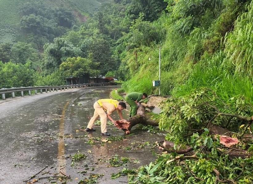 CSGT huyện Bắc yên đầm mưa dọn dẹp cây cối gãy đổ, gây cản trở giao thông.