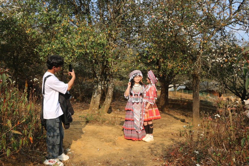 Nam thanh nữ tú check in tại vườn Sơn Tra trắng muốt.