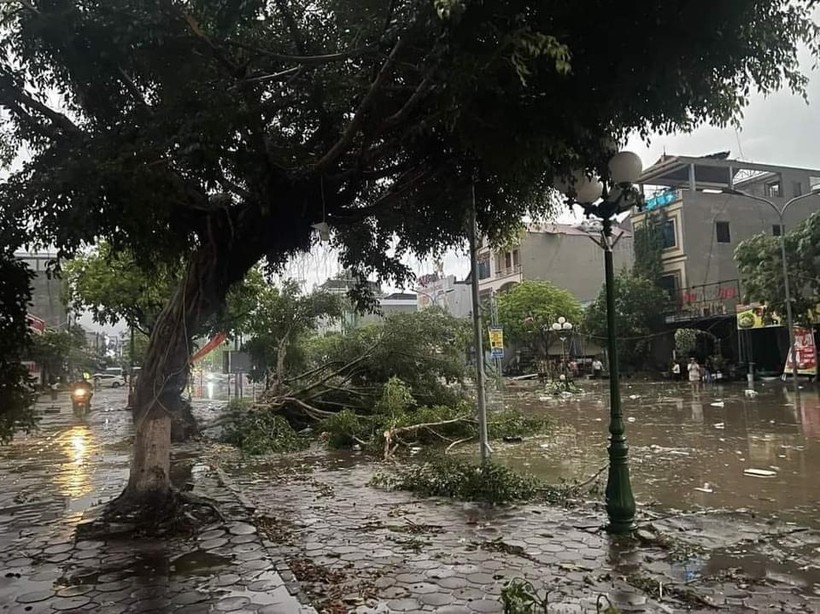 Mưa lớn kèm dông lốc làm đổ cây cối và ngập nước tại thị trấn Phù Yên.